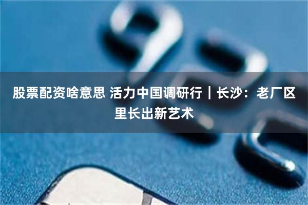 股票配资啥意思 活力中国调研行｜长沙：老厂区里长出新艺术