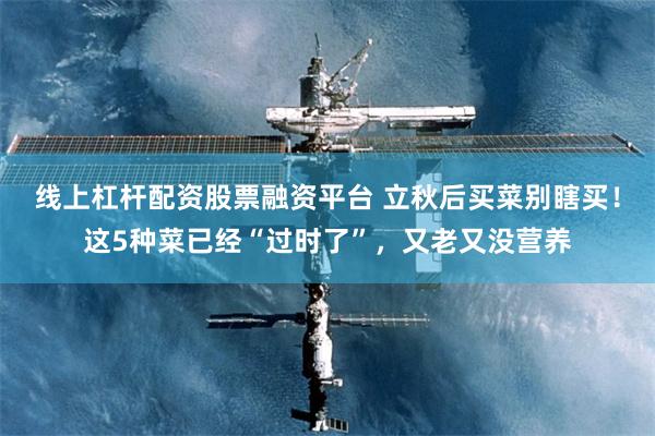 线上杠杆配资股票融资平台 立秋后买菜别瞎买！这5种菜已经“过时了”，又老又没营养