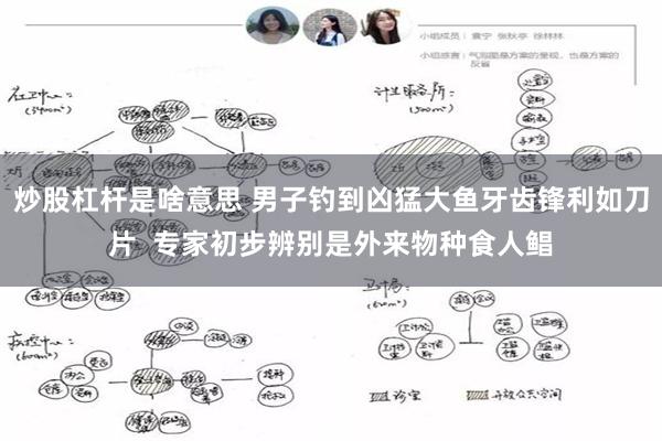 炒股杠杆是啥意思 男子钓到凶猛大鱼牙齿锋利如刀片  专家初步辨别是外来物种食人鲳