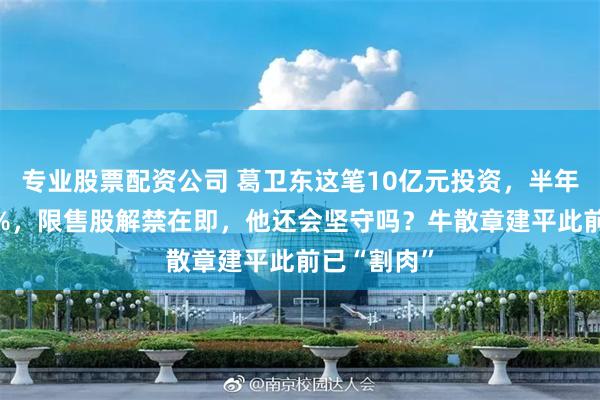 专业股票配资公司 葛卫东这笔10亿元投资，半年浮亏超50%，限售股解禁在即，他还会坚守吗？牛散章建平此前已“割肉”