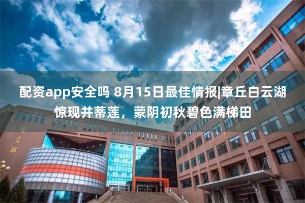 配资app安全吗 8月15日最佳情报|章丘白云湖惊现并蒂莲，蒙阴初秋碧色满梯田