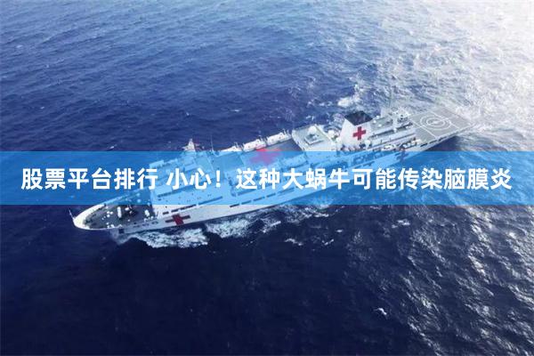 股票平台排行 小心！这种大蜗牛可能传染脑膜炎