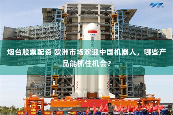 烟台股票配资 欧洲市场欢迎中国机器人，哪些产品能抓住机会？
