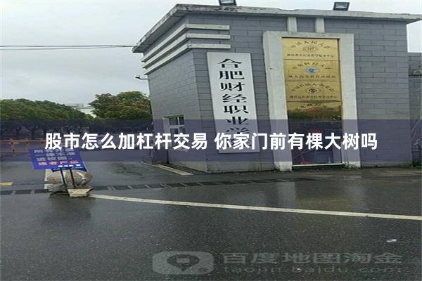 股市怎么加杠杆交易 你家门前有棵大树吗