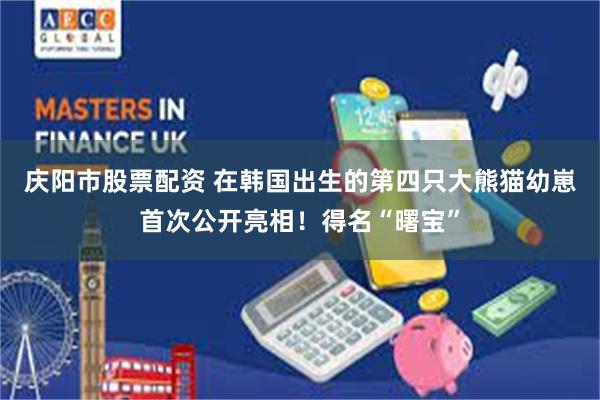 庆阳市股票配资 在韩国出生的第四只大熊猫幼崽首次公开亮相！得名“曙宝”