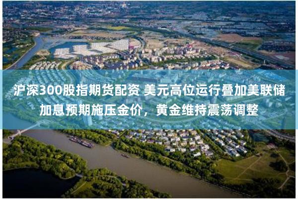 沪深300股指期货配资 美元高位运行叠加美联储加息预期施压金价，黄金维持震荡调整