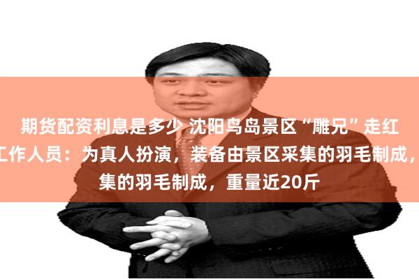 期货配资利息是多少 沈阳鸟岛景区“雕兄”走红网络，景区工作人员：为真人扮演，装备由景区采集的羽毛制成，重量近20斤