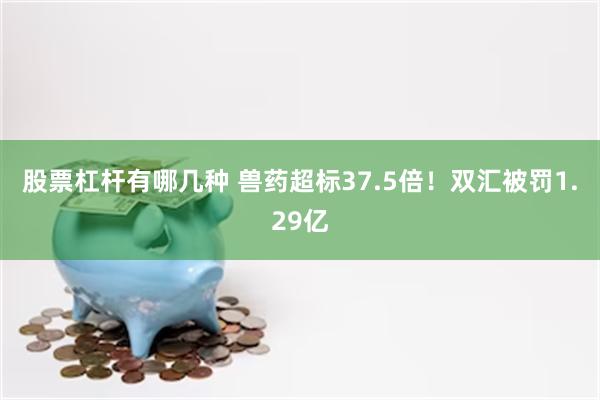 股票杠杆有哪几种 兽药超标37.5倍！双汇被罚1.29亿
