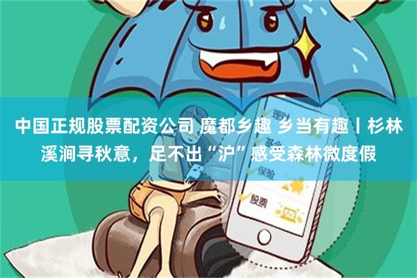 中国正规股票配资公司 魔都乡趣 乡当有趣丨杉林溪涧寻秋意，足不出“沪”感受森林微度假